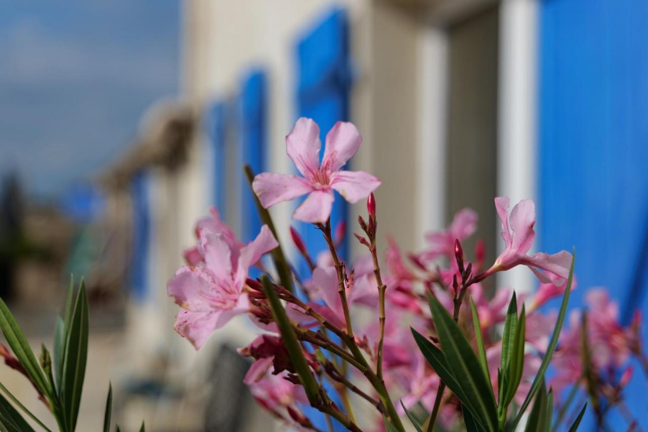 Saint-Just-Luzac Moulin De Mauzac B&B 외부 사진